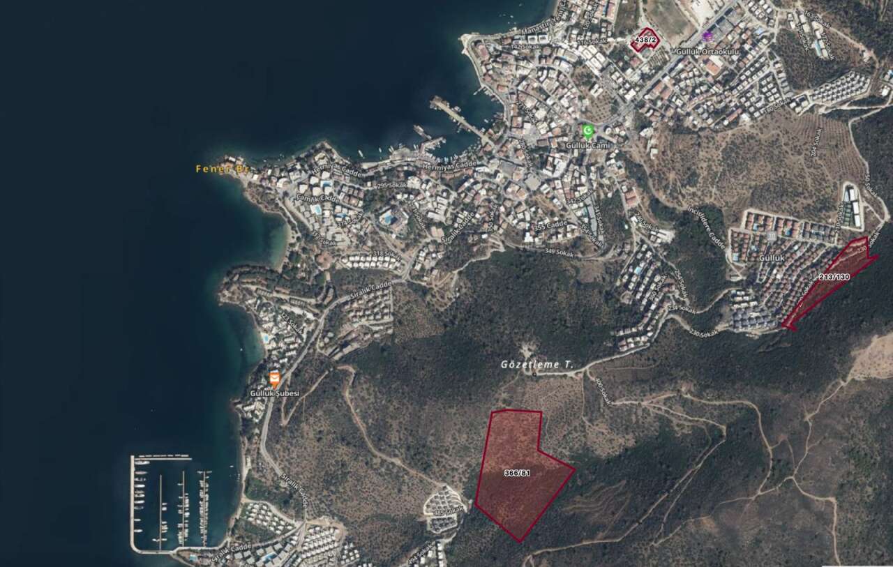 Denize Sıfır Zeytinlikler Kiraya Veriliyor: Aydın Vakıflar 86 Taşınmaz İçin İhaleye Çıkıyor 1